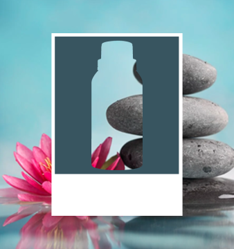 Zen Collection