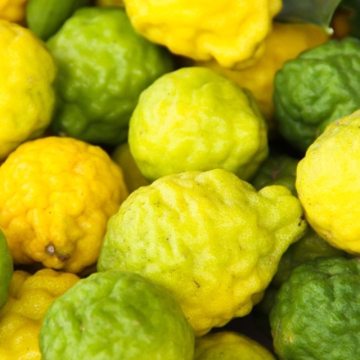 Bí ẩn của cam bergamot - Hương cam tinh tế và sự an yên trong tinh thần