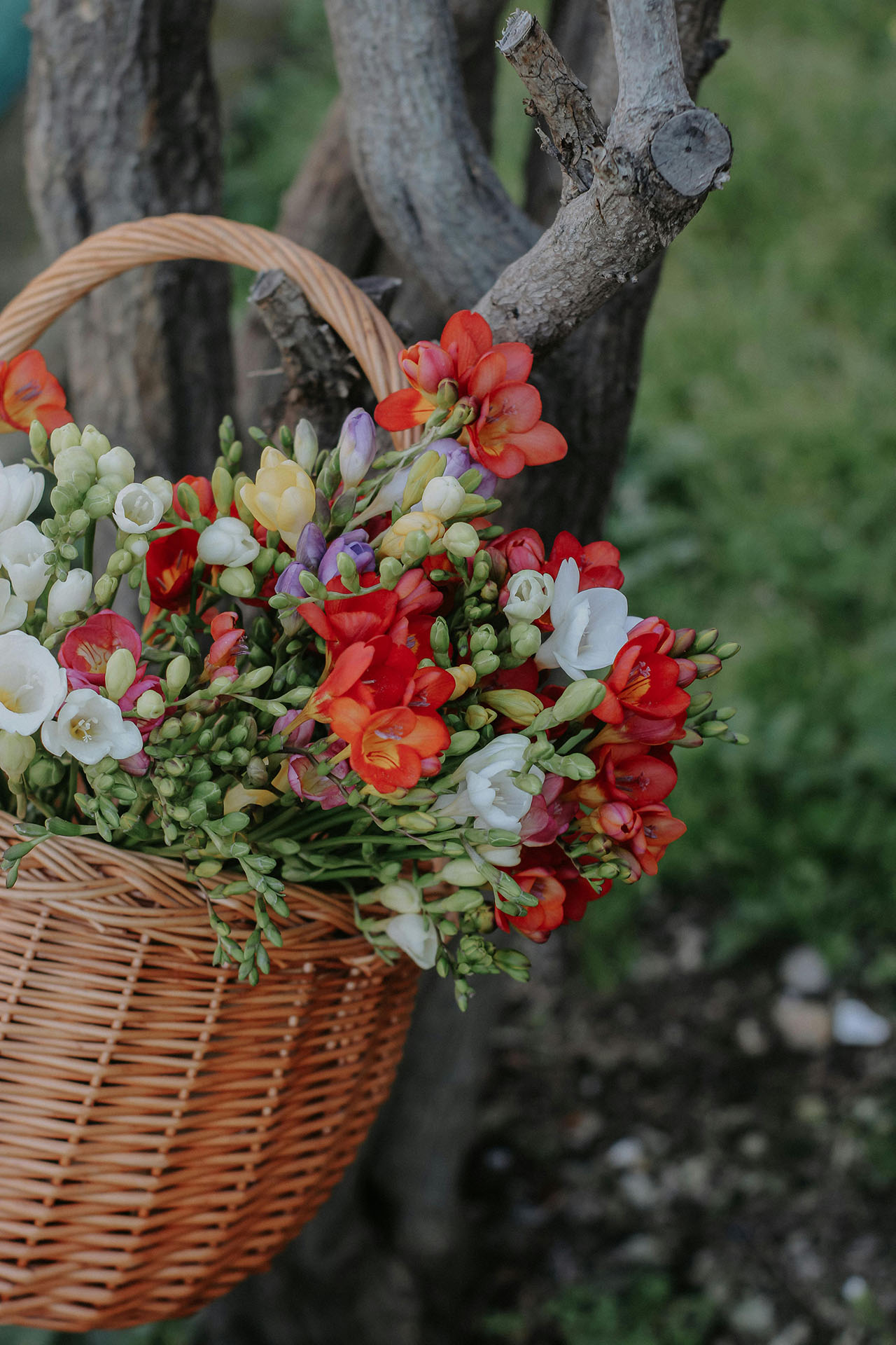 nhóm hương floral bouquet